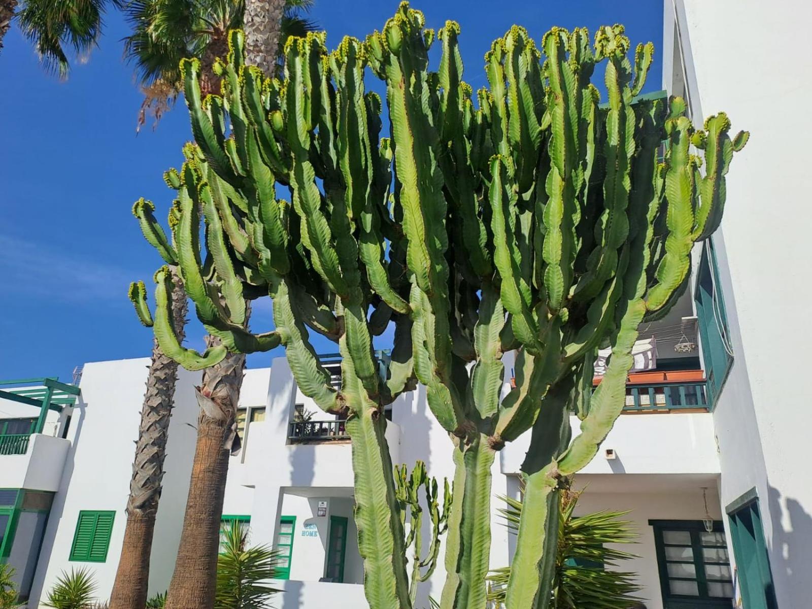 Azul Tuscan Playa Y Piscina Costa Teguise Eksteriør bilde